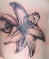 Lily tattoo