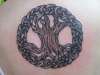 Celtic Tree of Life tattoo