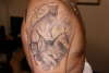 Caracals tattoo