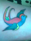 swallow tattoo