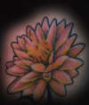 lotus tattoo