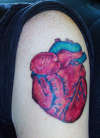 Anatomical Heart tattoo