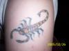 scorpion tattoo