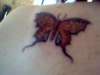 Butter Fly tattoo