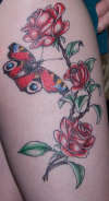 Rose and Peacock Butterfly tattoo
