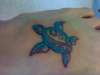 my turtle tattoo