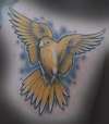 my bird again. tattoo