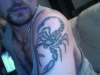 scorpion tattoo