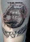 Clown Pittbull tattoo