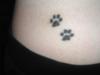 Paws tattoo