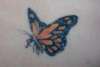 Lower back butterfly tattoo