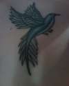 Blue bird on my chest tattoo