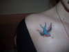 Swallow tattoo