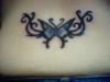 butterfly tattoo