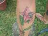 Pink Tiger Lily tattoo