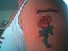 rose tattoo