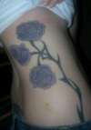 roses tattoo