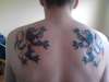 Lions - Back tattoo