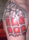 Spidey Skin rip and muscle tattoo