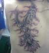 Dove/ Skull/ night sky tattoo