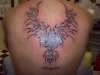 phoenix tattoo