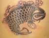 Koi tattoo
