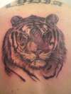 black n grey tiger tattoo