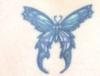 Butterfly tattoo