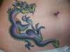 Finished Dragon tattoo