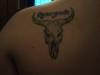 bull skull tattoo