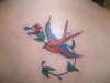 swallow tattoo