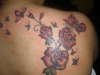 BUTTERFLIES AND ROSES tattoo
