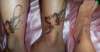 butterfly wrap tattoo