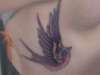 Devil Sparrow tattoo