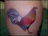 rooster tattoo