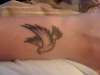 rubbish dove! tattoo