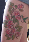 Cherry Blossom and hummingbird tattoo