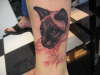 CAT SHIT!!! tattoo