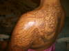 japanese phoenix back hung's tatto parlor out line tattoo