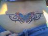 Butterfly tattoo