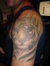 tiger tattoo