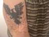 Alter Bridge bird - Pheonix tattoo