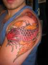 Koi into Dragon tattoo