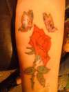 rose tattoo