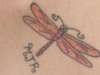 Dragonfly In memory of MJR tattoo