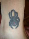 spider tattoo