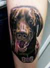 Doggie tattoo