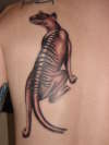 Thylacine tattoo