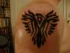Tribal Phoenix tattoo