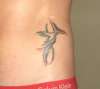 Hummingbird with Tribal tattoo